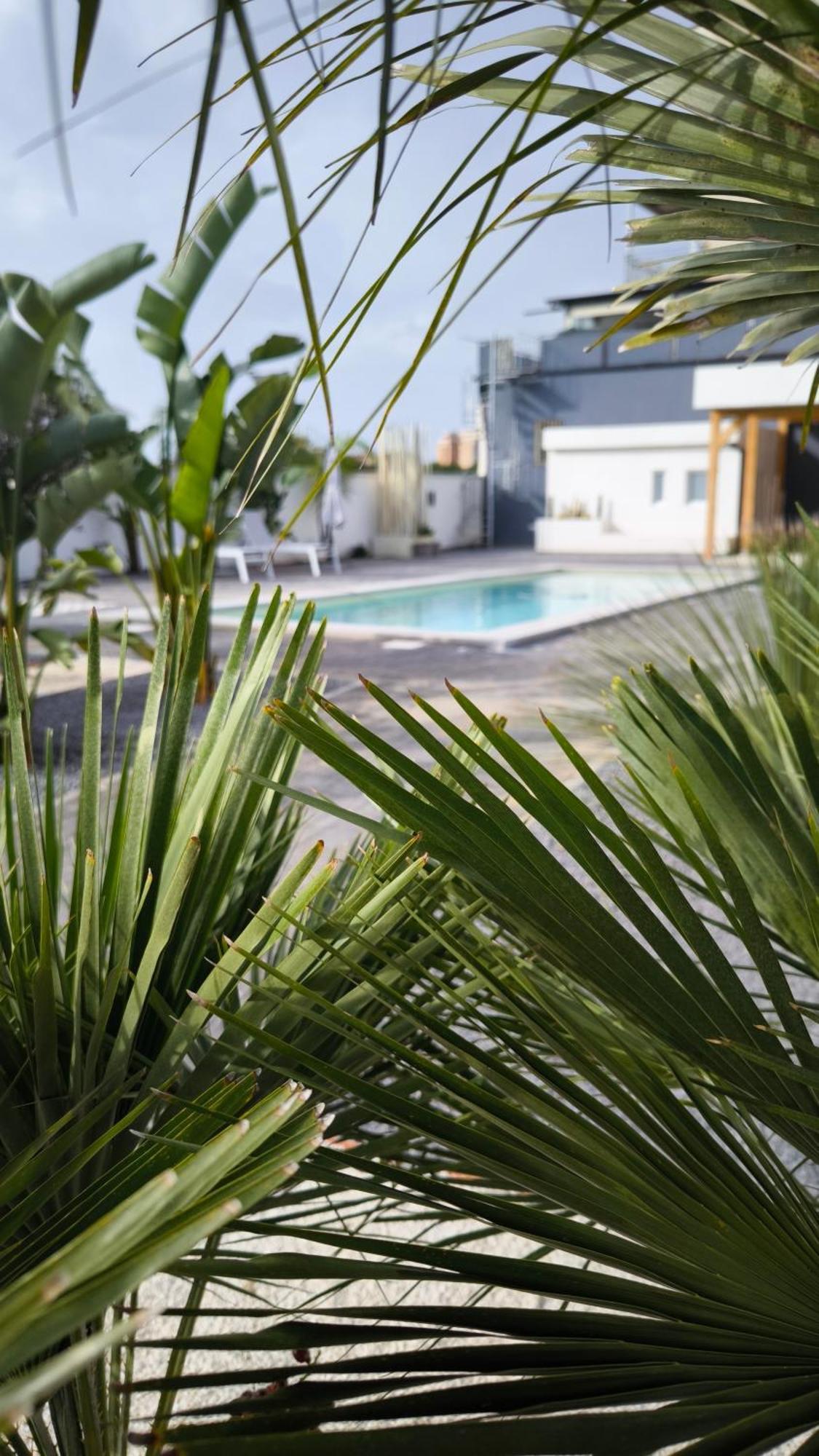 CASADELMAR vacanze San Leone Buitenkant foto